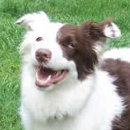 Hershey was adopted in July, 2006